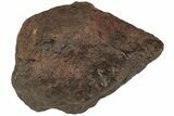 Chondrite Meteorite ( g) - Western Sahara Desert #222361-1